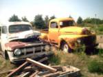 Bunch of old Ford Trucks