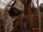 Old Studebaker up a tree 