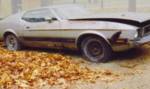 1972-1973 Ford Mustang Mach I, Rusting Away.... 
