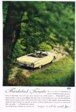 Ford Thunderbird Convertible Advertisement
