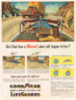 Goodyear Lifeguards Advertisement