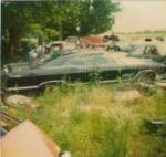 1967 Buick left to rust away