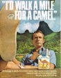 1968 Camel Cigarette Advertisement