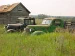 Classic Trucks left to rust away...