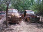 Pair of Old Chevy Trucks