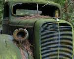 Old Ford Pickup Truck 