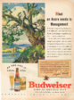 1937 Budweiser Advertisement