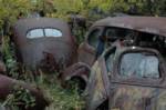 Old Rusty Rat Rod Potential  