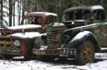 Retired Farm Trucks