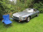 "Jaguar XJS V12" at the "Cats In The Garden VII" 
