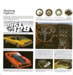 1971 Ford Mustang Options