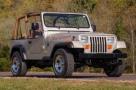 1995  Jeep   Wrangler