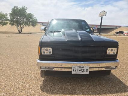 1988 Chevrolet S10