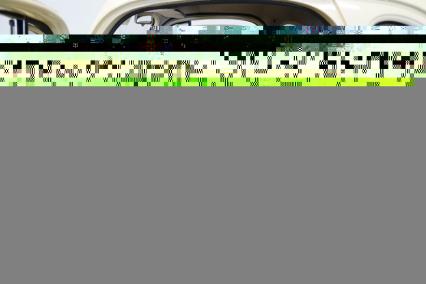 1982 Chevrolet Corvette