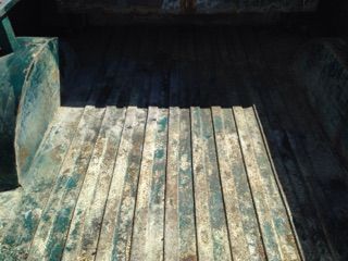 Image 13