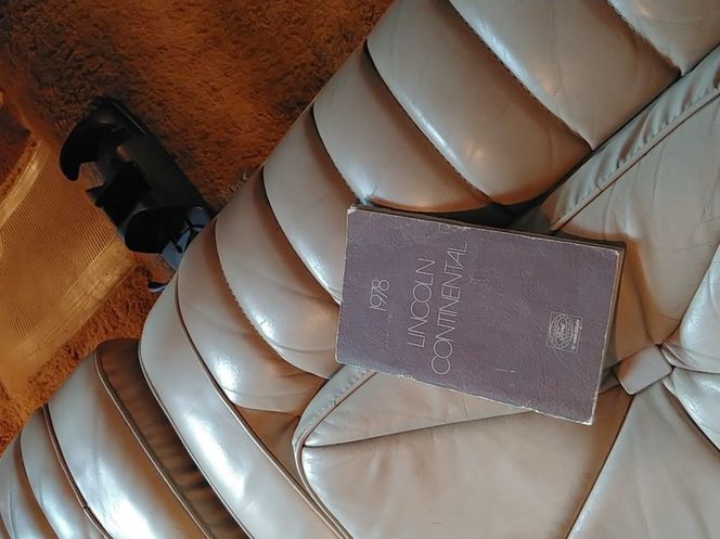Image 19