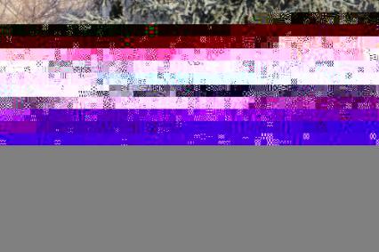 1988 Mercedes Benz 300E