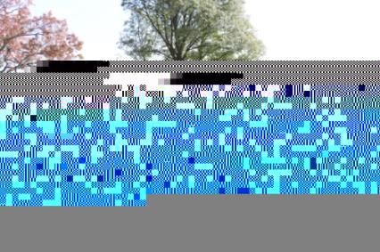 1998 Chevrolet Corvette