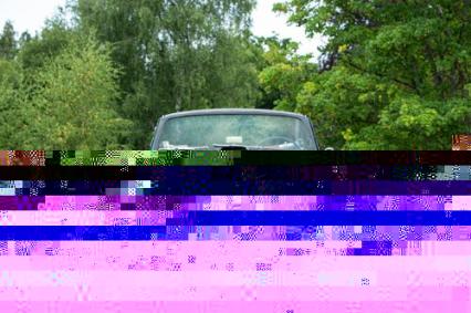 1979 Pontiac Trans Am