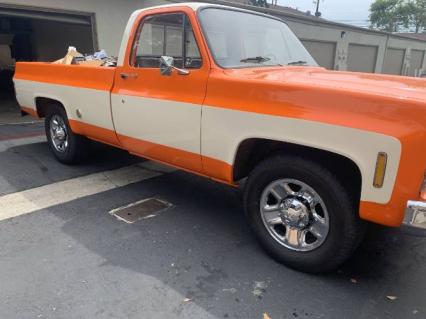 1975 Chevrolet C20