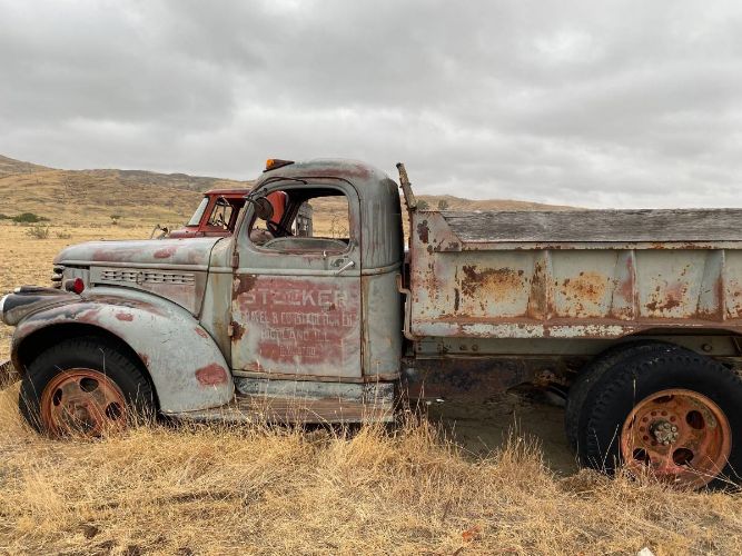 Image 13