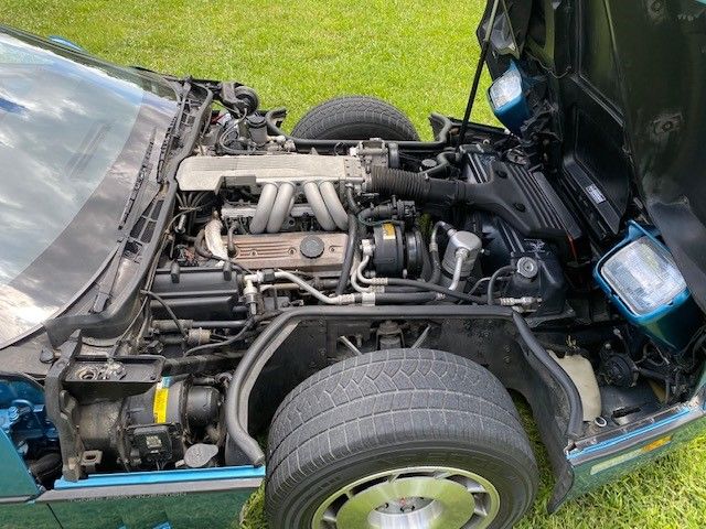 Image 8