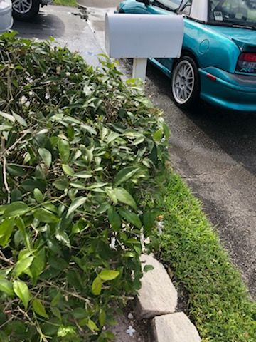 Image 17