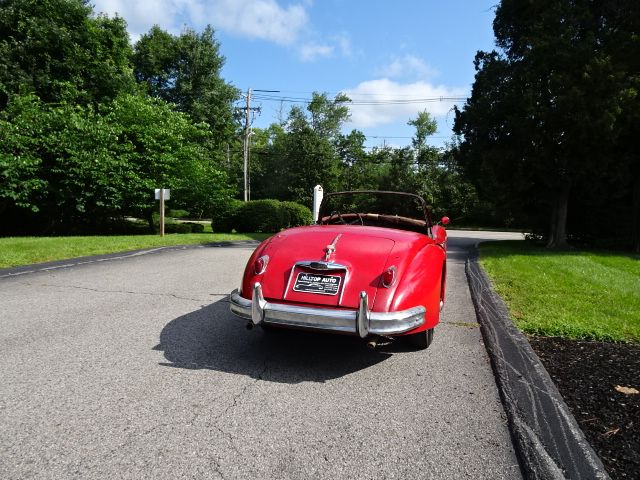 Image 16