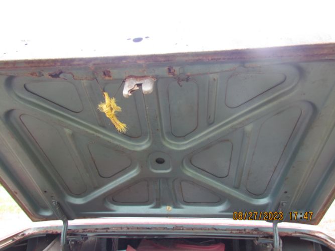 Image 11