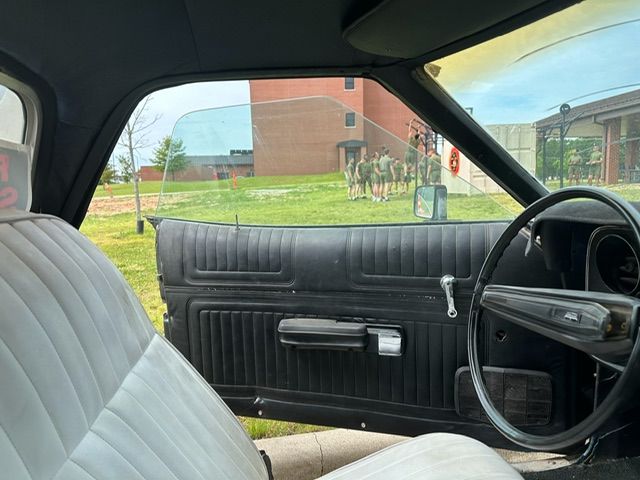 Image 19