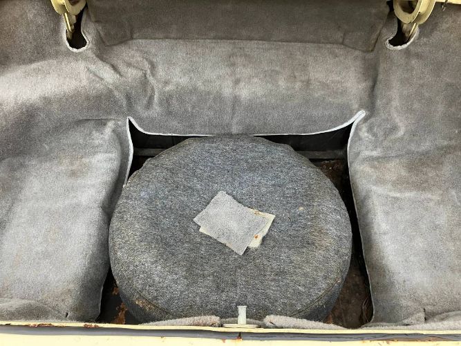 Image 13