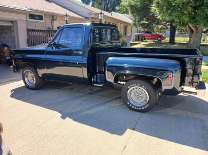 1977 Chevrolet C10