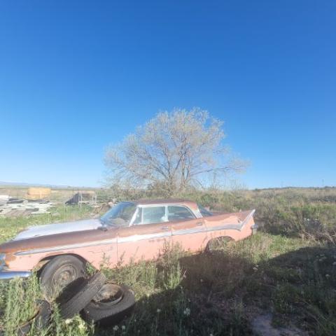 1959 DeSoto Other