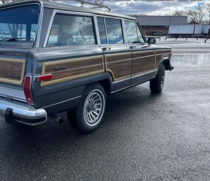 1989 Jeep Grand Wagoneer