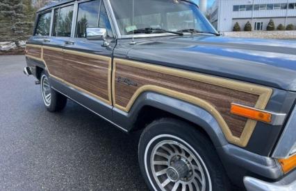 1989 Jeep Grand Wagoneer
