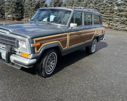 1989 Jeep Grand Wagoneer