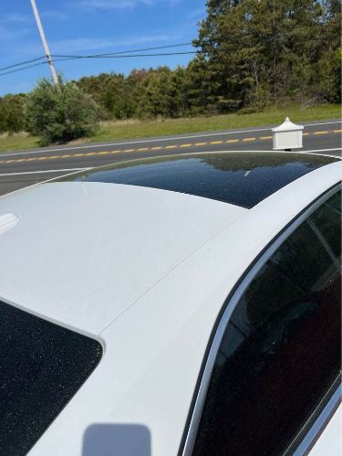 Image 15