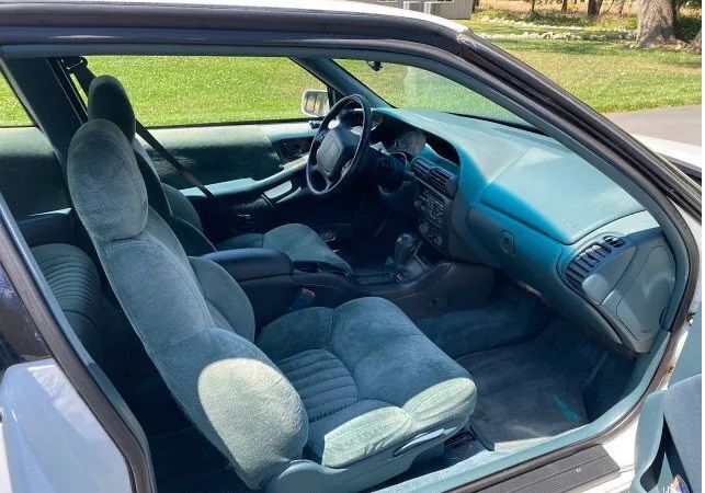 Image 8