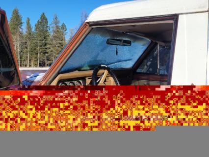 1966 Volkswagen Beetle