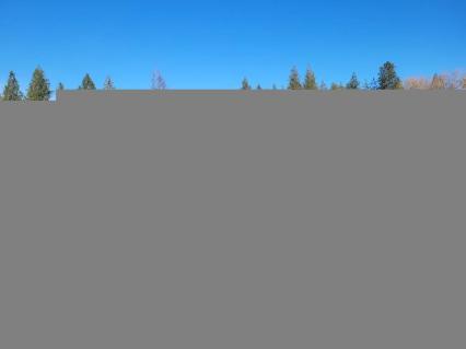 1966 Volkswagen Beetle