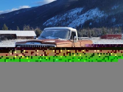 1966 Volkswagen Beetle