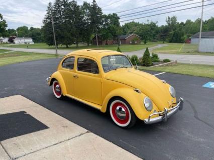 1964 Volkswagen Beetle