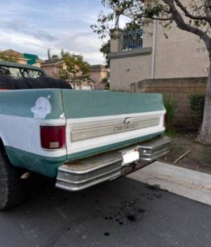 1973 Chevrolet Cheyenne