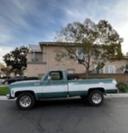 1973 Chevrolet Cheyenne