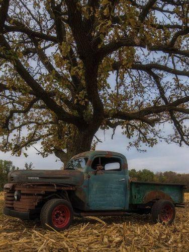 1949 Ford F3