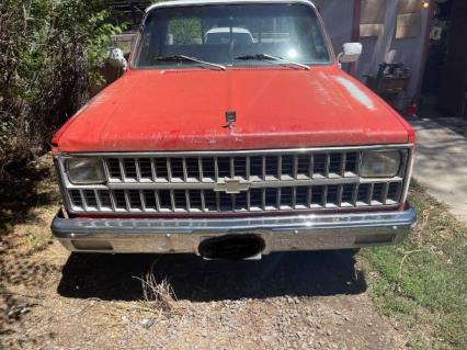 1982 Chevrolet Custom Deluxe RWD