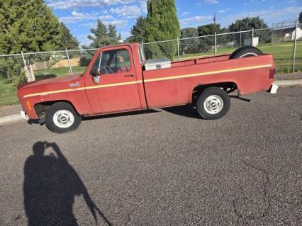 1980 Chevrolet Pickup