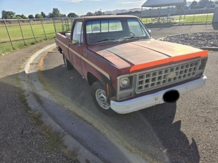 1980 Chevrolet Pickup
