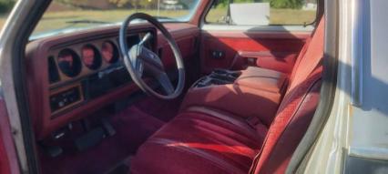 1987 Dodge D150