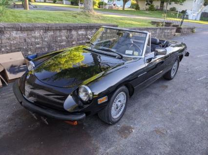 1981 Alfa Romeo Spider Veloce